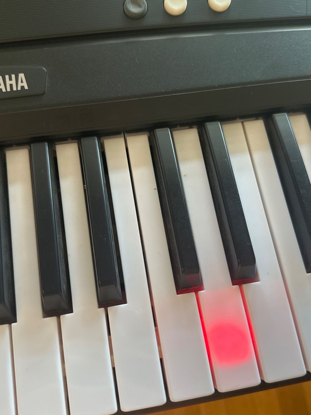 Yamaha Strumenti musicali: Yamaha EZ-220 Keyboard mit Ständer – Usato da Jona venduto da e.elisha.a 2