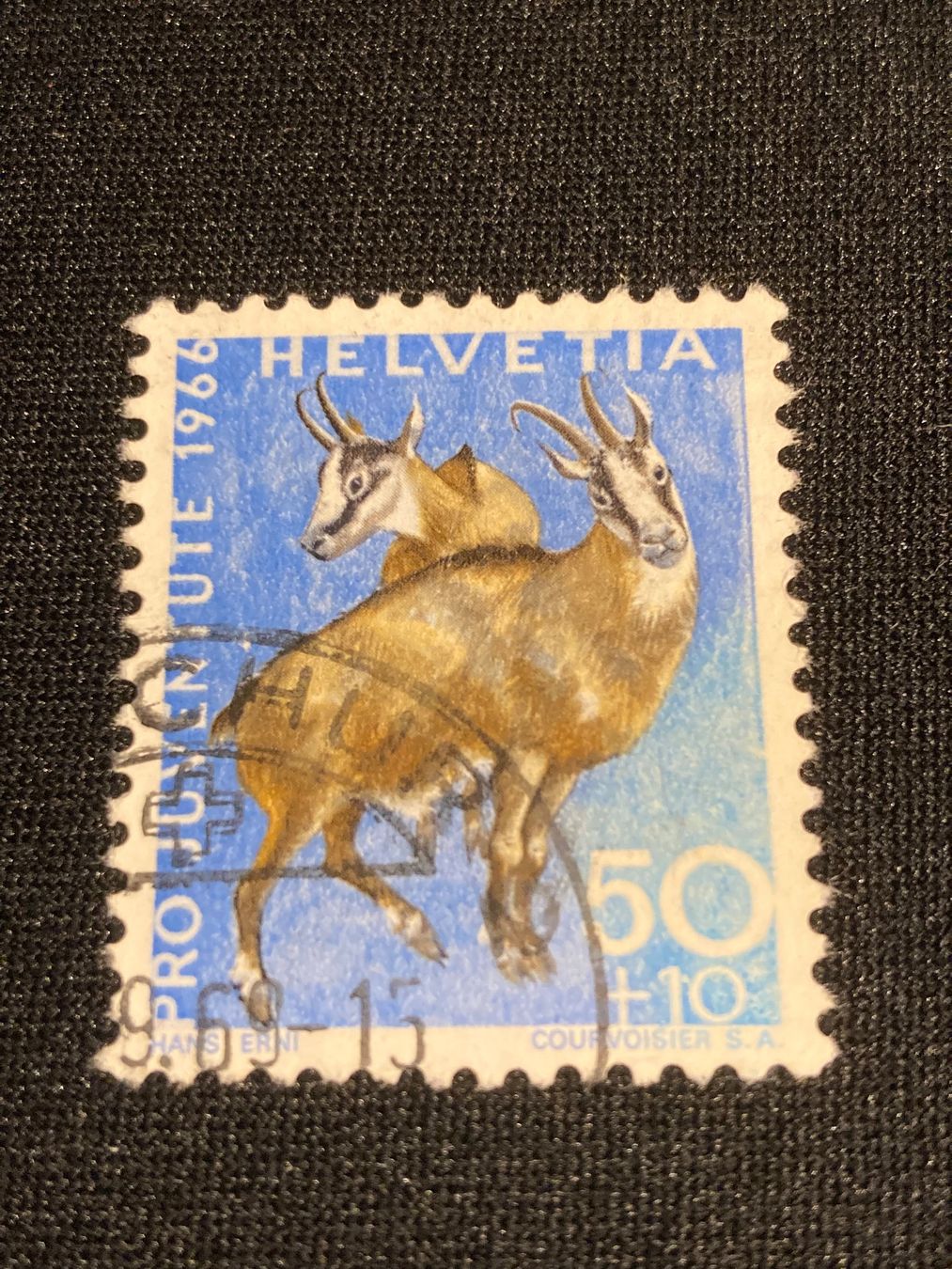 Tutti i francobolli: Eichhörnchen ZNr. J216- 1966 Stempel Chur – Usato da Reinach BL venduto da RetroGamesSportsMore