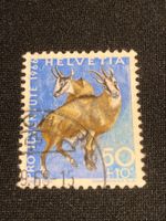Eichhörnchen ZNr. J216- 1966 Stempel Chur