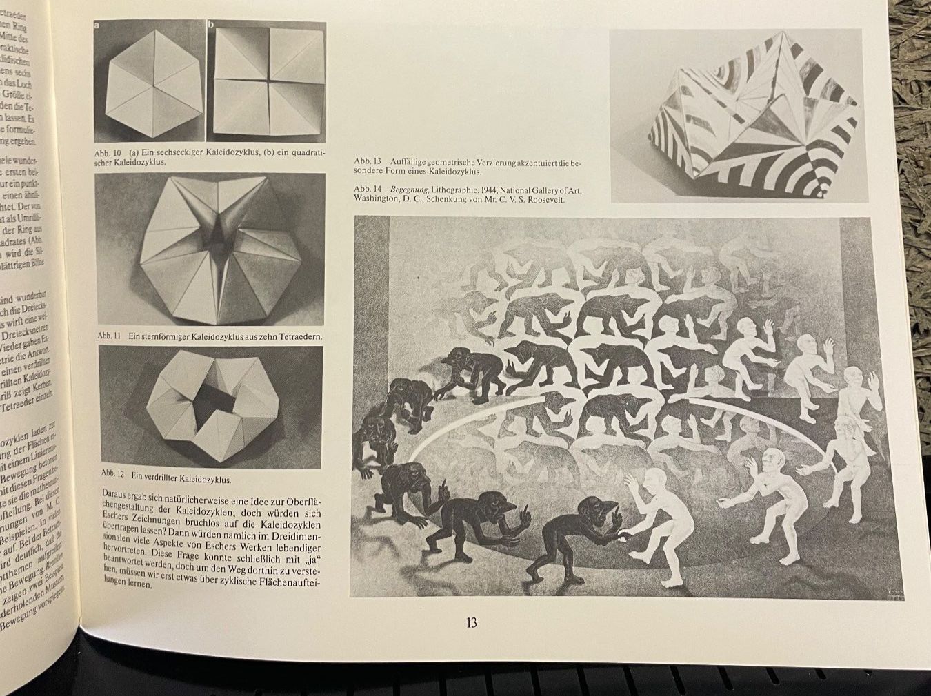 Bücher: M.C. Escher Kaleidozyklen – Gebraucht aus Wangen ZH von Bobenix 7