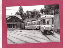 Repro Rame moderne à Trogen