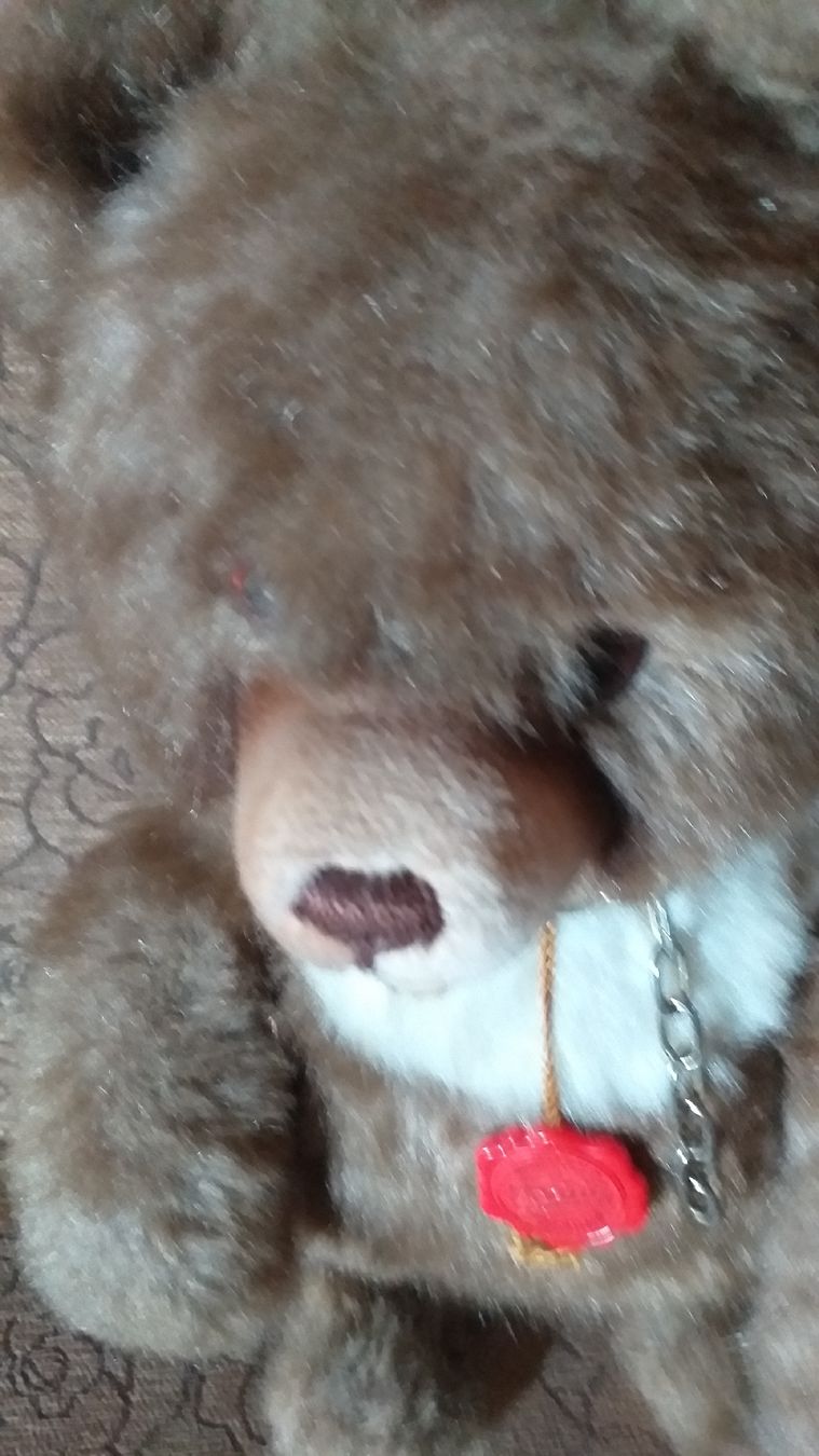 Teddy Hermann Spielzeuge: Hermann Teddy – Gebraucht aus Wünnewil von 04Blume 2