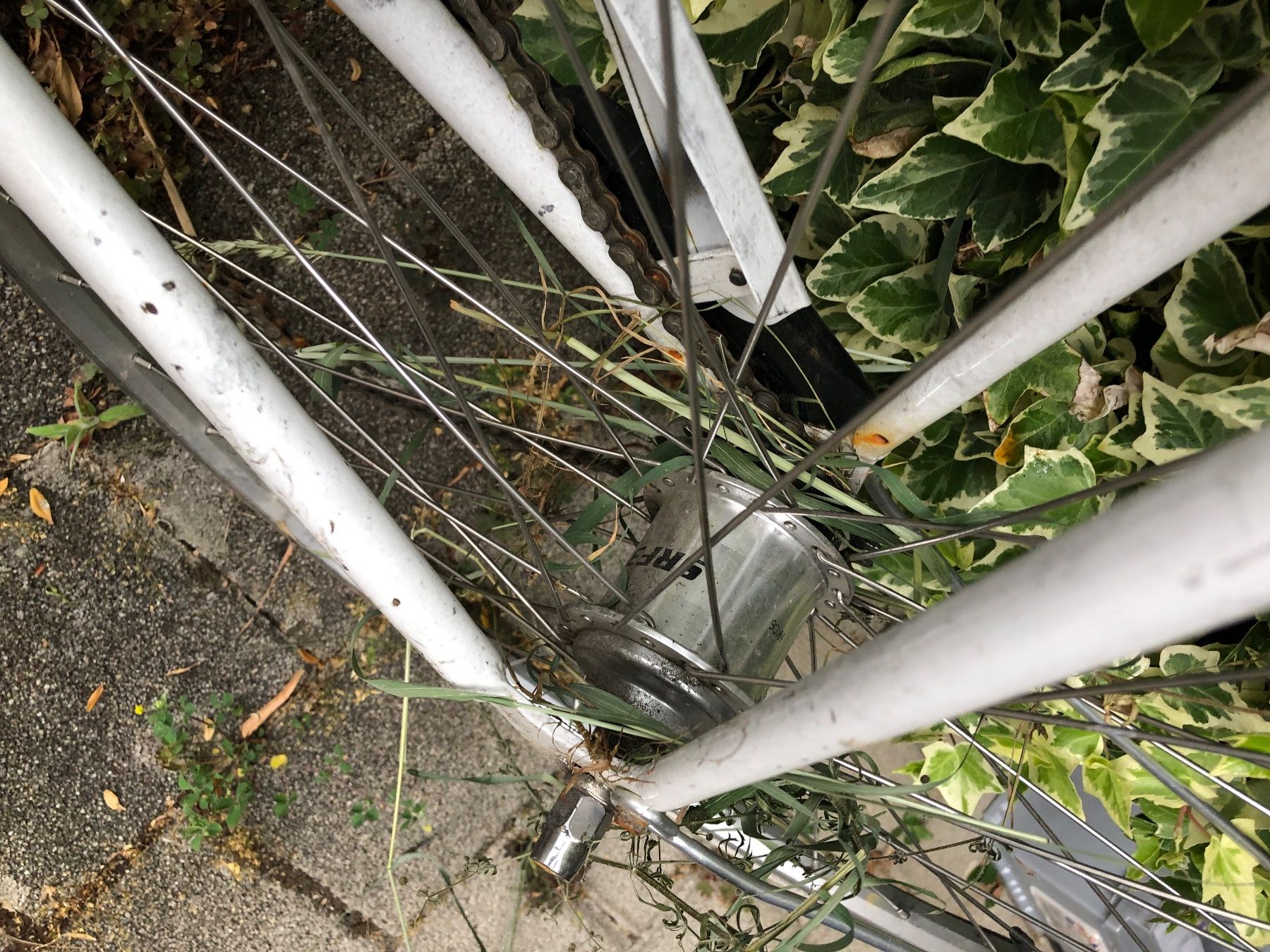 Biciclette: Siech Damenvelo ab 1.- – Difettoso da Oberweningen venduto da Jelo 5