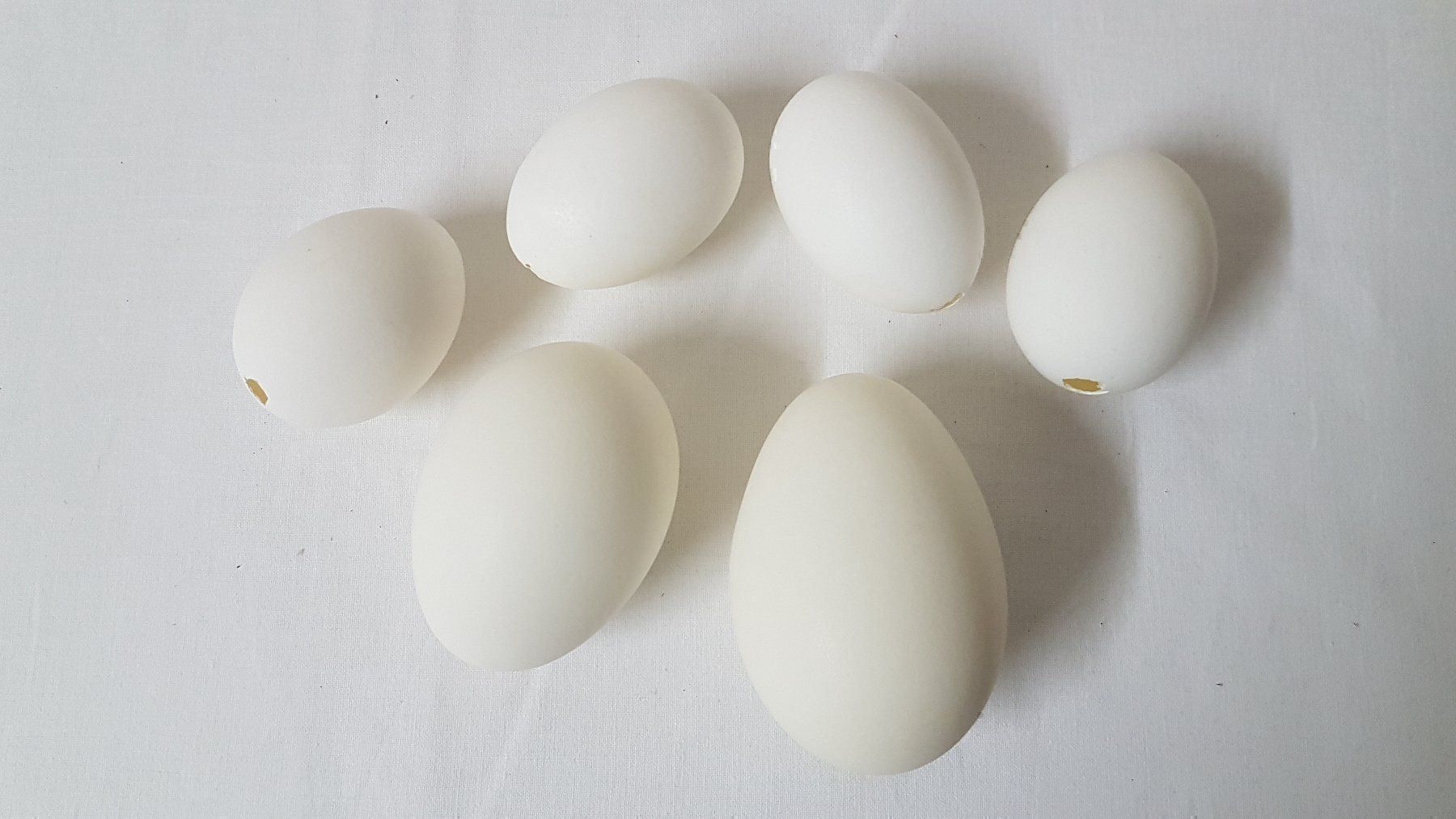 Tutte le decorazioni: ausgeblasene Gänse- / Hühner Eier – Usato da Thun venduto da Nordkapp 2