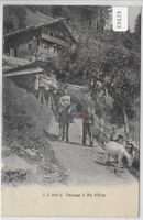 Paysage a Val d'Illiez - Ziege chevre goat