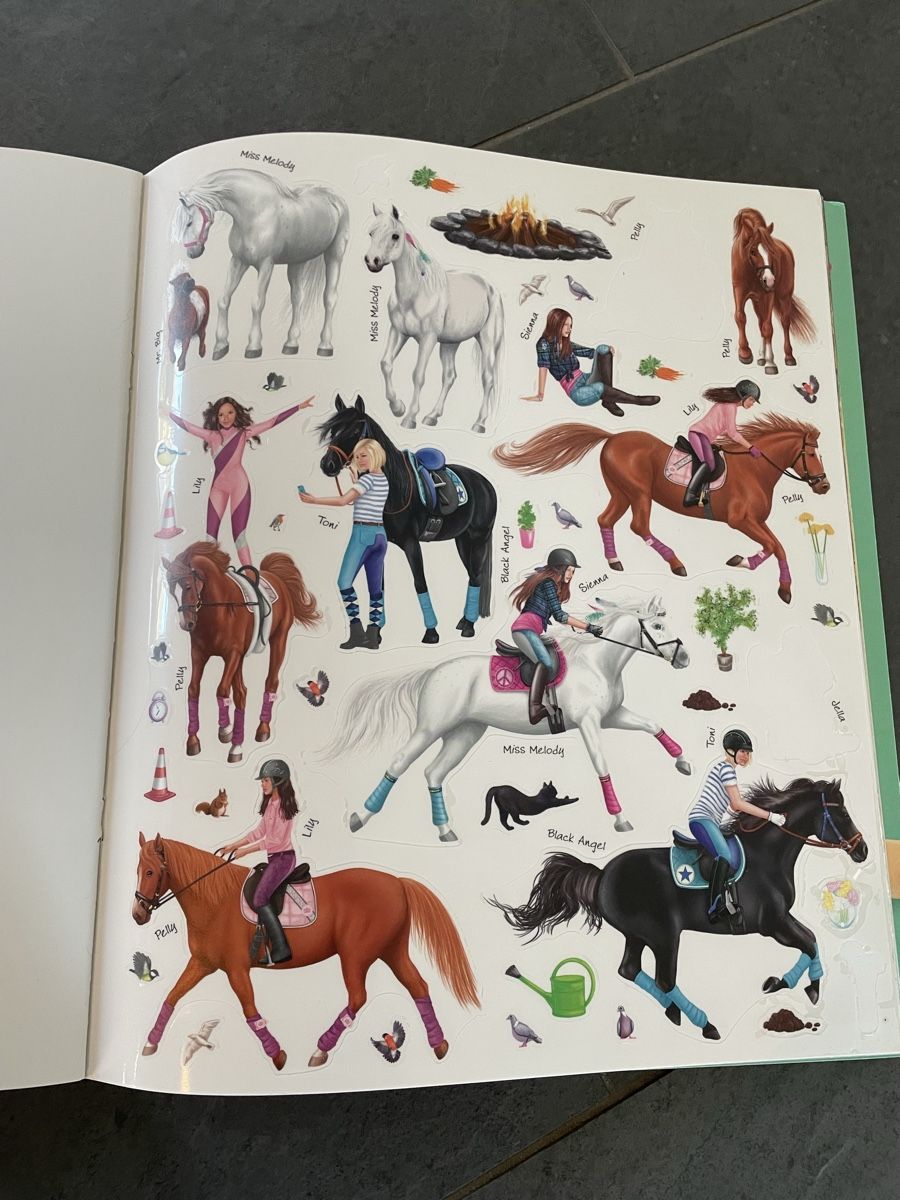 Libri: Stickerbuch – Usato da Balgach venduto da sei_s6d7 2