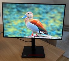 Lenovo ThinkVision P27h-20 2560 x 1440 Pixel, 27" LED 60hz
