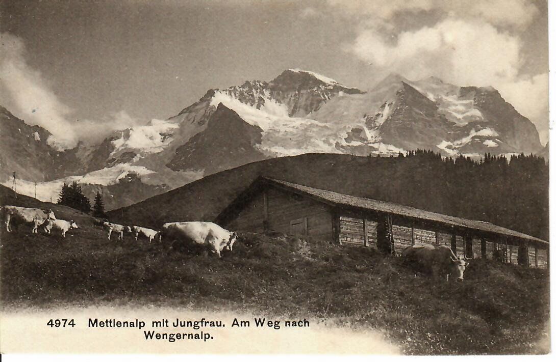 Cartoline postali: Mettlenalp mit Jungfrau – Usato da Hochdorf venduto da Ziegel-16