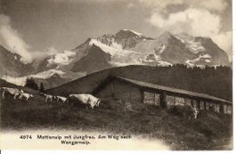 Mettlenalp mit Jungfrau