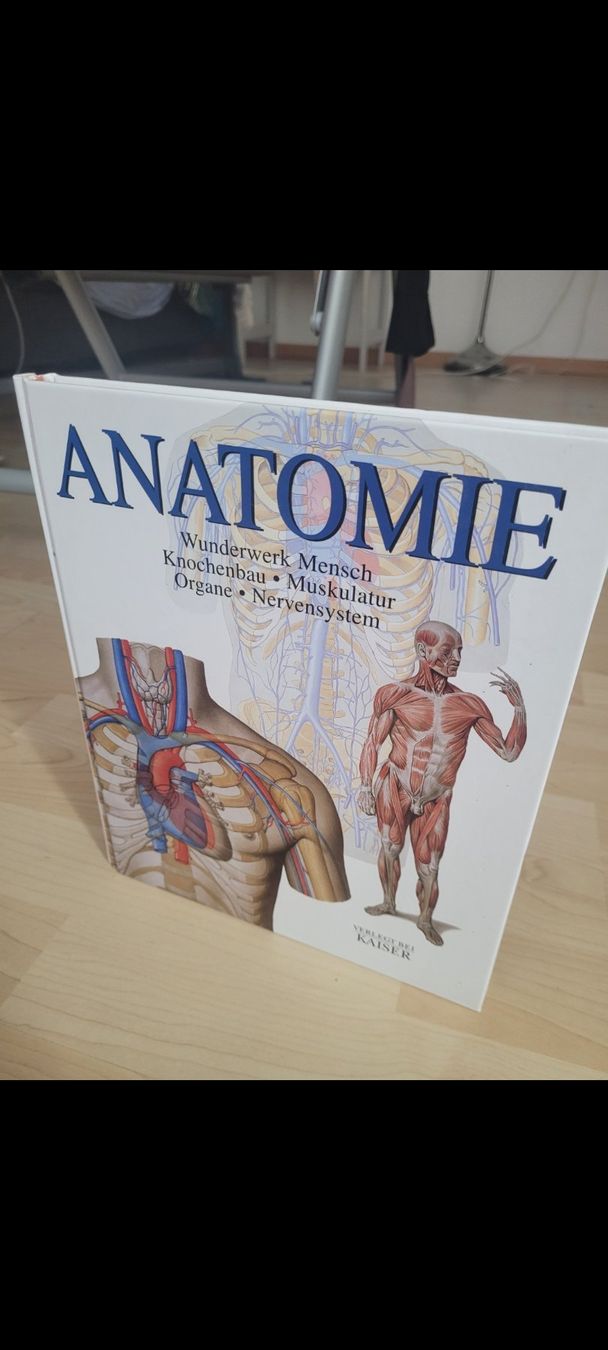 Bücher: Anatomie Buch wie neu – Gebraucht aus Neuhausen von eliana2
