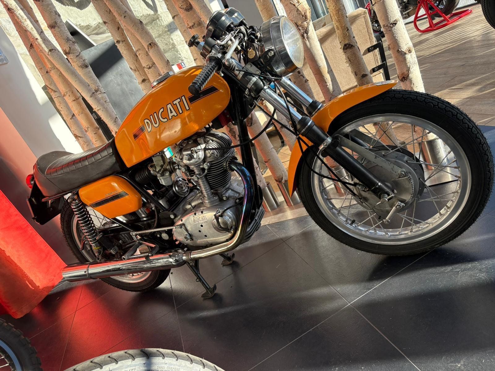 Ducati Altro: Ducati Desmo 250 – Usato da Wettingen venduto da thedud