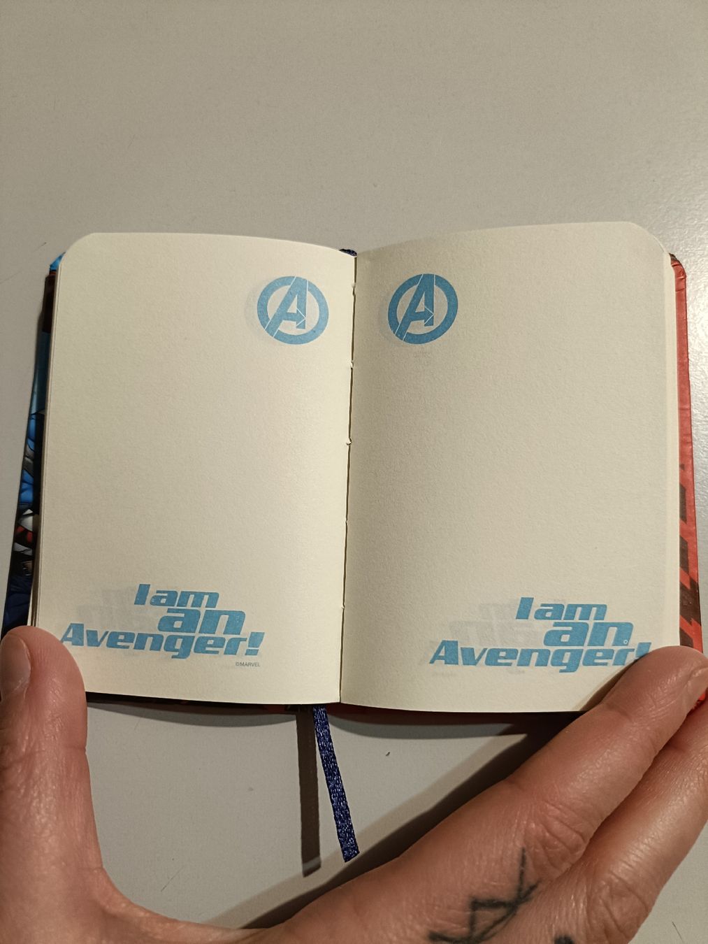 Libri: Taccuino Avengers Marvel – Nuovo (secondo la descrizione) da Lostallo venduto da cha_lx5j 2