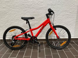 Kindervelo für 5 - 8 Jahre
