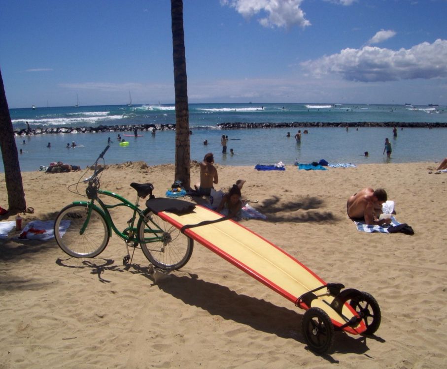 Stand Up Paddle Transport Wagen Mule Kaufen auf Ricardo