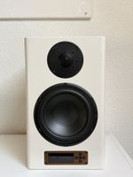 Nubert NuPro A300 (defekt)