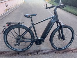 E Bike 45 km/h Jahrgang 2023 Bosch Performance speed
