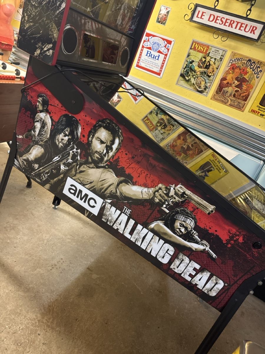 Stern Pinball Flipper: Flipper walking dead – Usato da saxon venduto da electrojeux 1