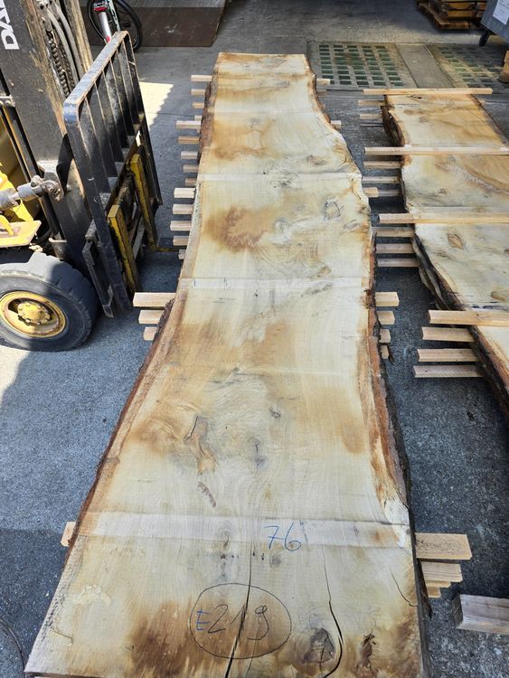 Articoli in legno: Eichenbrett Nr. 219 – Nuovo (secondo la descrizione) da Lützelflüh-Goldb venduto da ch.waelchli-holz.ch