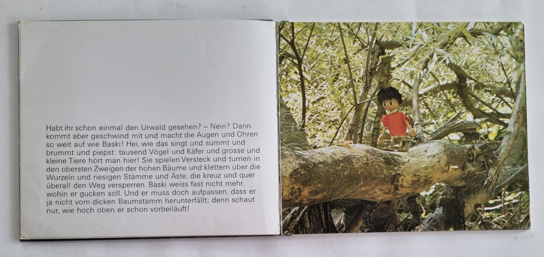 Libri: BASKI 3, Mit Baski durch den Urwald, Heinrich Gohl – Usato da Opfikon venduto da Diversamente 5