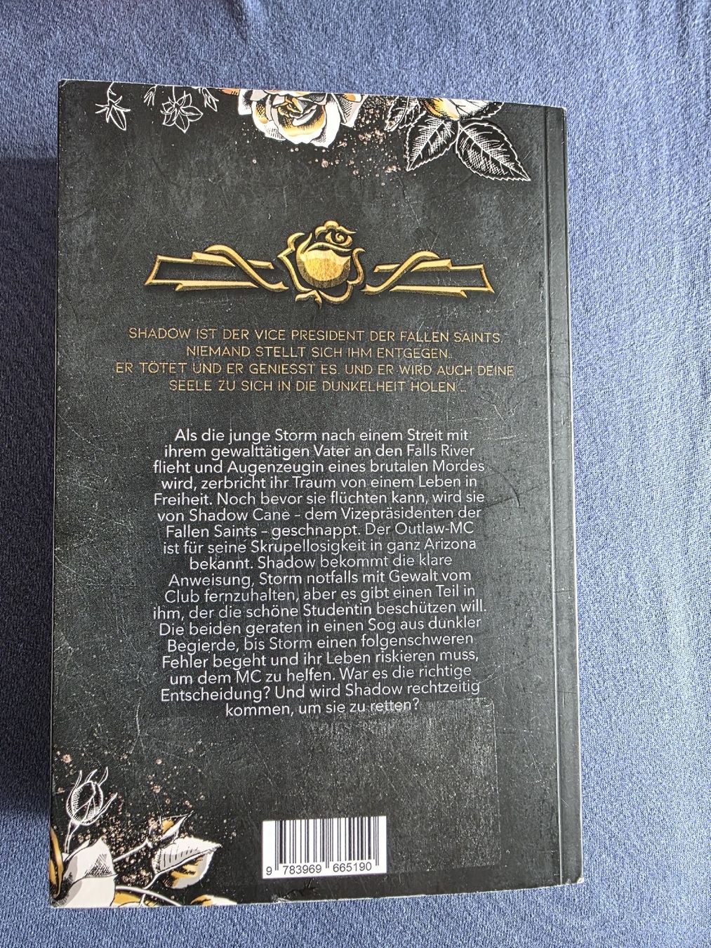 Libri: Sara Rivers: Fallen Saints MC Bd. 1 – Nuovo (secondo la descrizione) da Gais venduto da ste_y6ps 1