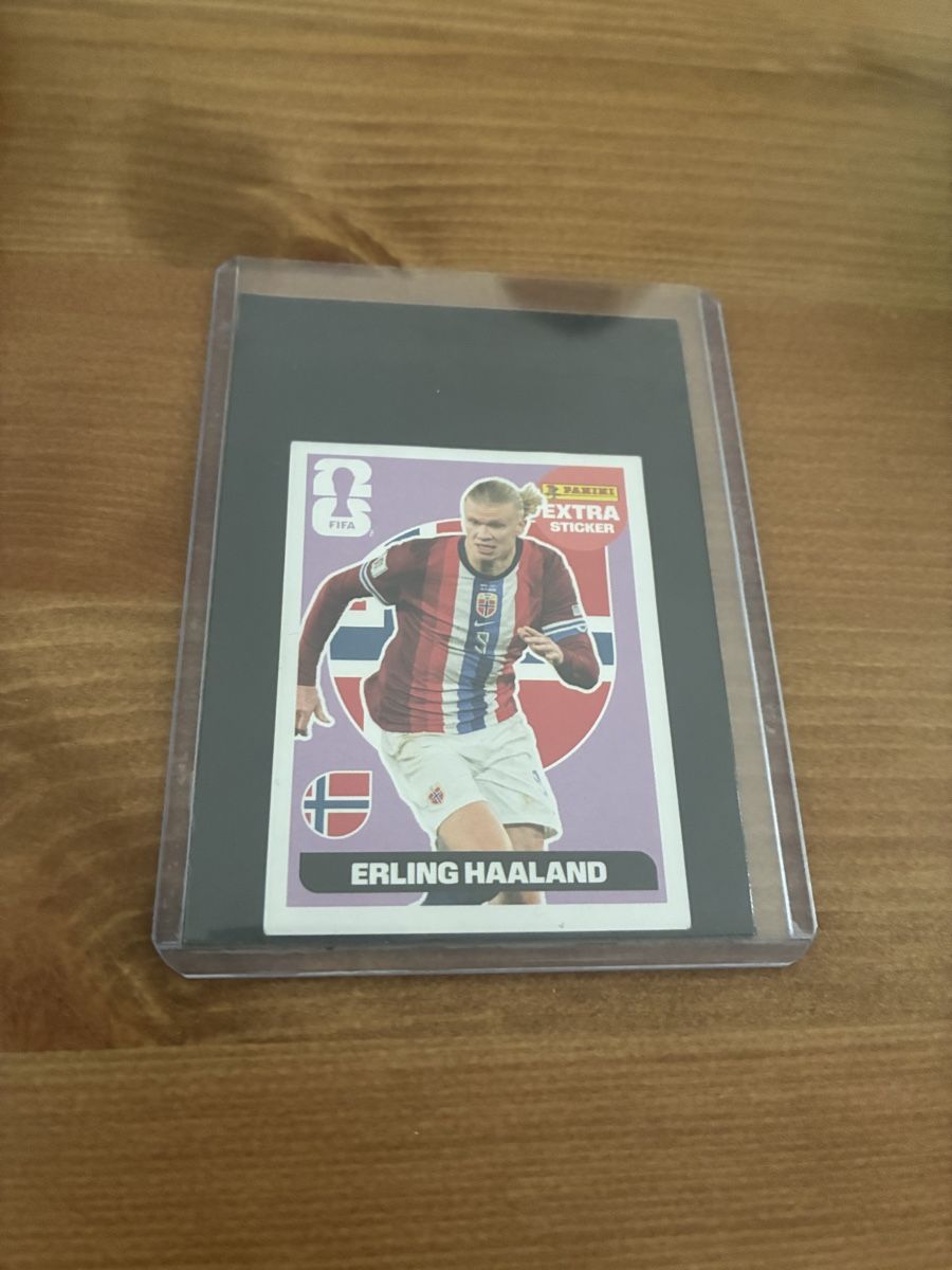 Panini Cartes à collectionner: Erling Halland Extra Sticker Regular pânico – Neuf (Voir description) à Dällikon par Woldbanknoten