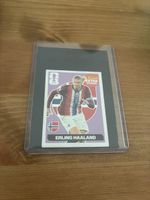 Erling Halland Extra Sticker Regular pânico