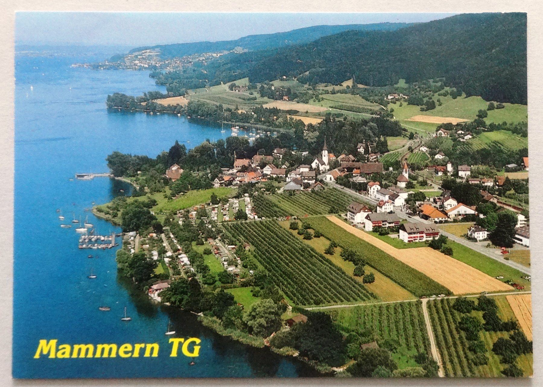 Ansichtskarten: Mammern TG – Gebraucht aus Fétigny von Billy2miny