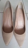 Carvela - Kurt Geiger Pumps