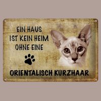 🔥 ORIENTALISCH KURZHAAR Katzen Blechschild 🩵 20x30cm OVP🔥