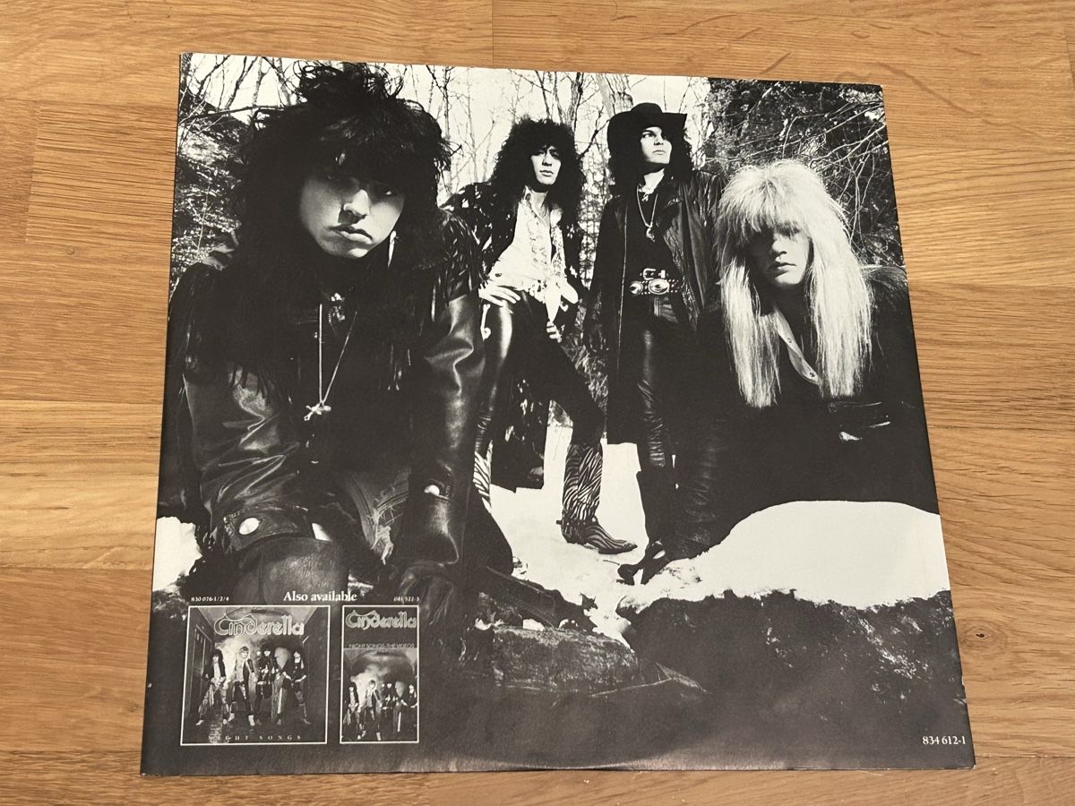 Vinyles: Cinderella. 1988. Long Cold Winter – D'occasion à Faulensee par Mizuno06 2