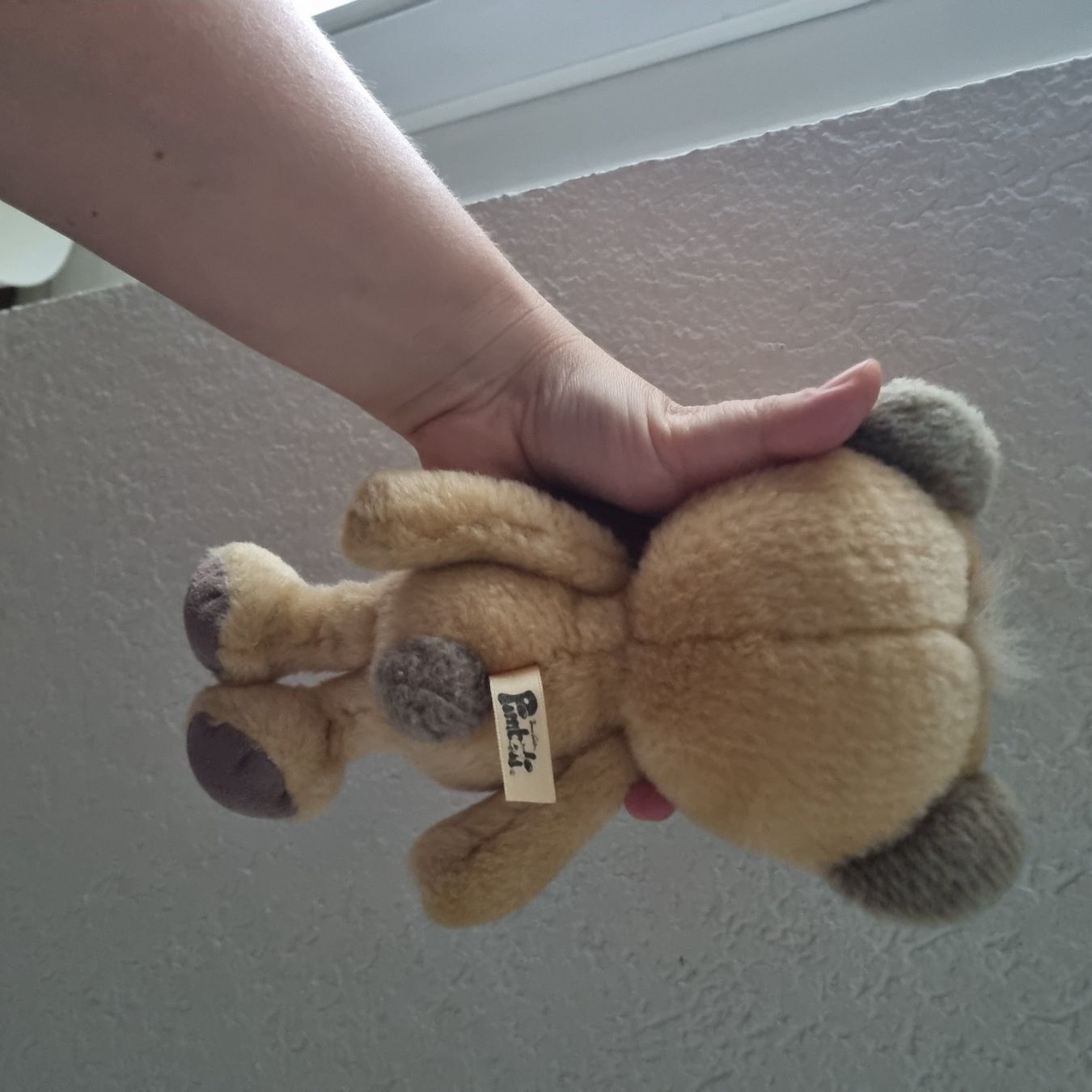 Jouets: Diddl - Pimboli Bär – D'occasion à Buchs AG par Kitten33 1