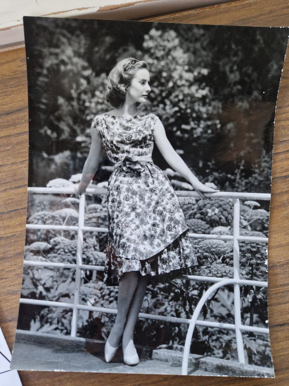 Foto & Immagini: Fotografien 1950er Models – Usato da Mörschwil venduto da lindaswunderkiste 3