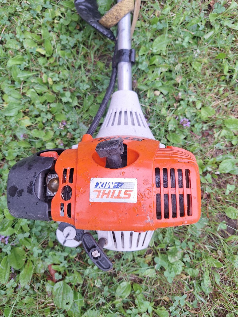 Stihl Tondeuses à gazon: Rasentrimmer – D'occasion à Mutten par thomann1969 1