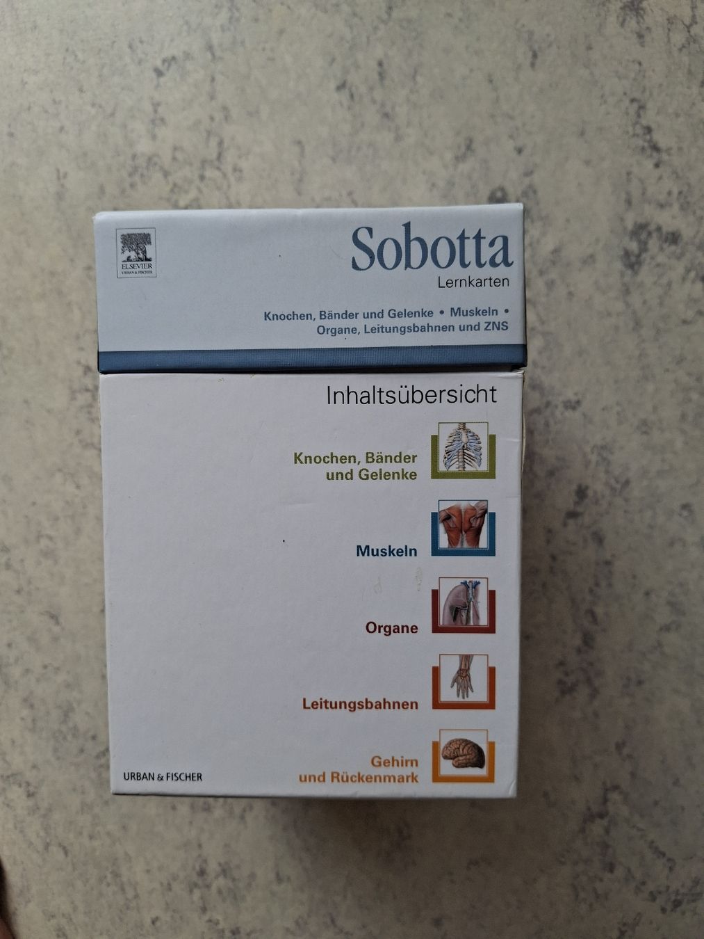 Sonstiger Schulbedarf: Sobotta Anatomie Lernkarten guter Zustand – Gebraucht aus Oberdorf SO von Solotech 2