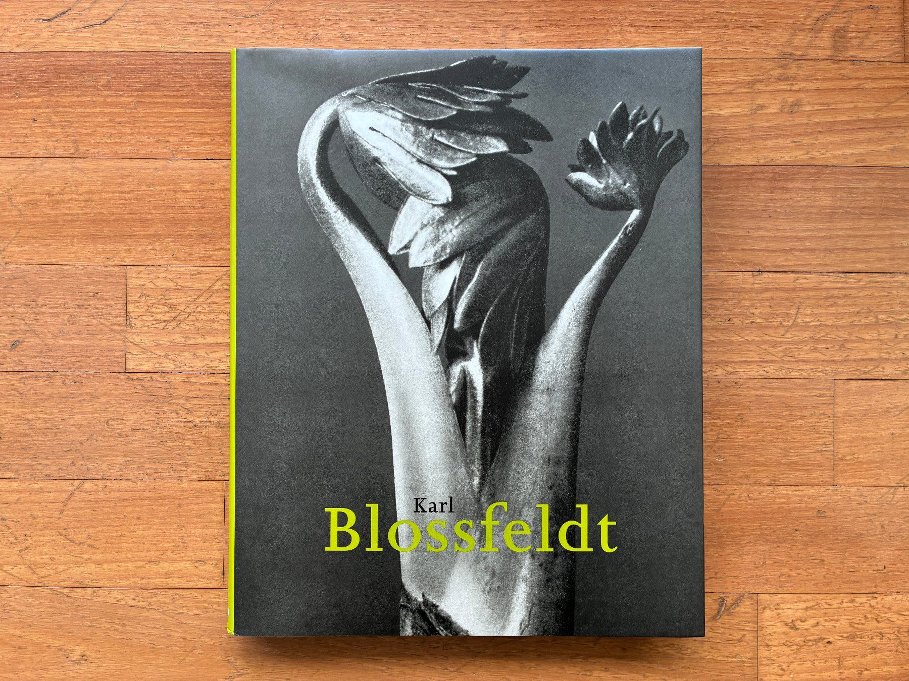 Libri: Photo Buch: KARL BLOSSFELDT – Usato da Lugano venduto da gio.yo