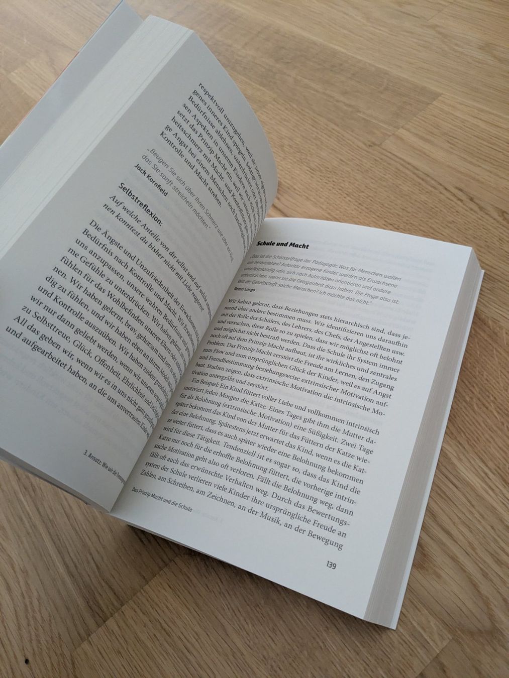 Bücher: Glücksschule - Daniel Hess – Gebraucht aus Rain von sin_1803 1