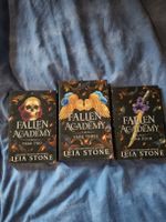 Buch Reihe Fallen Academy 