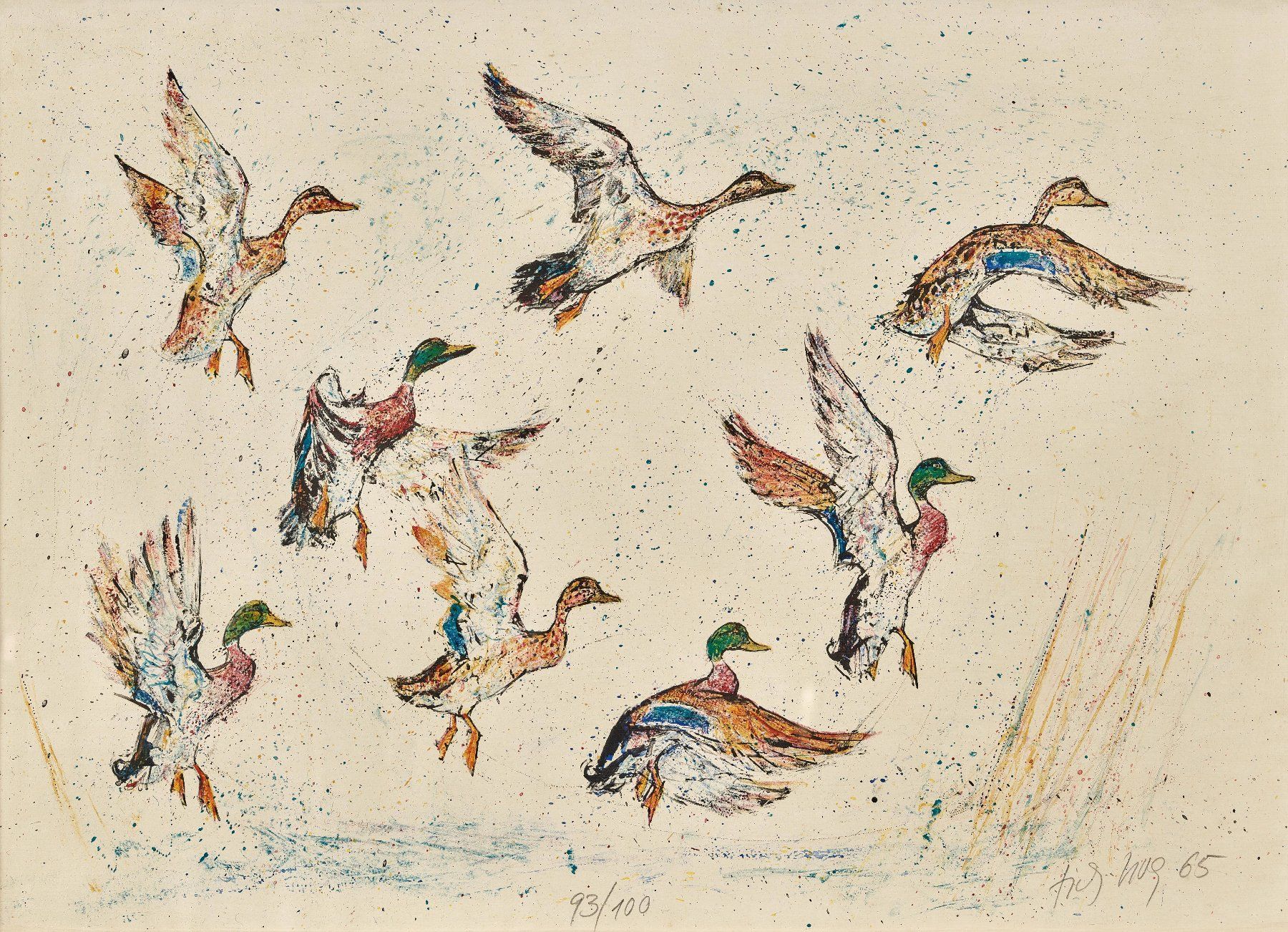Grafiken & Lithographien: Hug Fritz, "Fliegende Enten" Original handsig. Farblitho. – Gebraucht aus Siebnen von Kareno