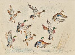 Hug Fritz, "Fliegende Enten" Original handsig. Farblitho.