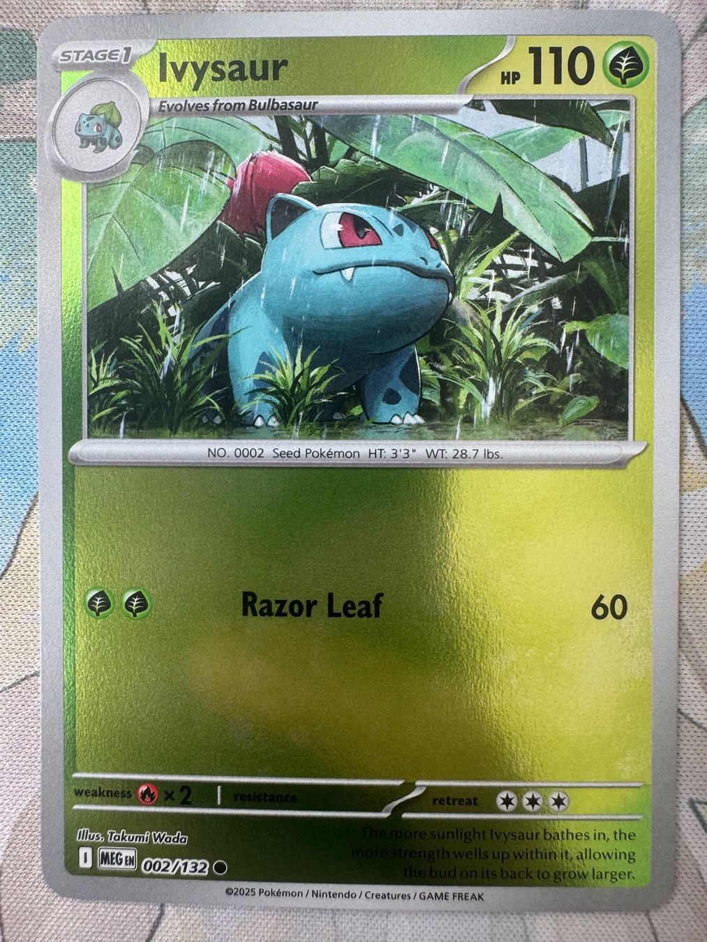 Pokémon Carte collezionabili: Pokémon TCG - Ivysaur Reverse (MEG002) Mega Evolution – Nuovo (secondo la descrizione) da Oberwil BL venduto da Chelsea26