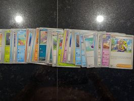 Lot de carte (écarlate et violet)