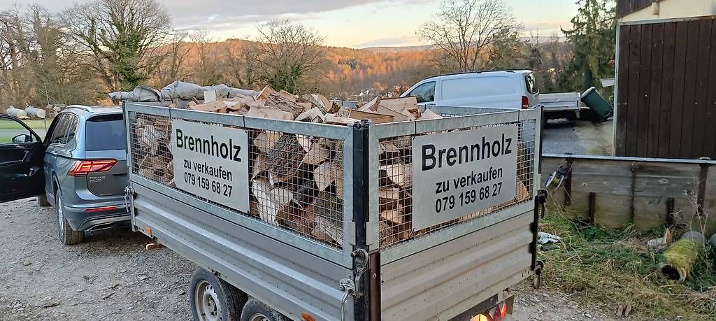 Articoli in legno: Brennholz Buche – Nuovo (secondo la descrizione) da riniken venduto da petz1981