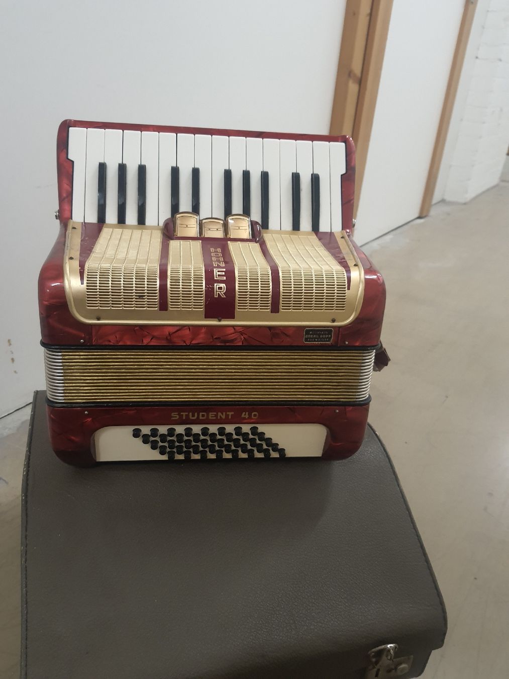 Hohner Strumenti musicali: accordéon hohner à piano  – Usato da Pont-de-la-Morge venduto da Mirabelle0 2