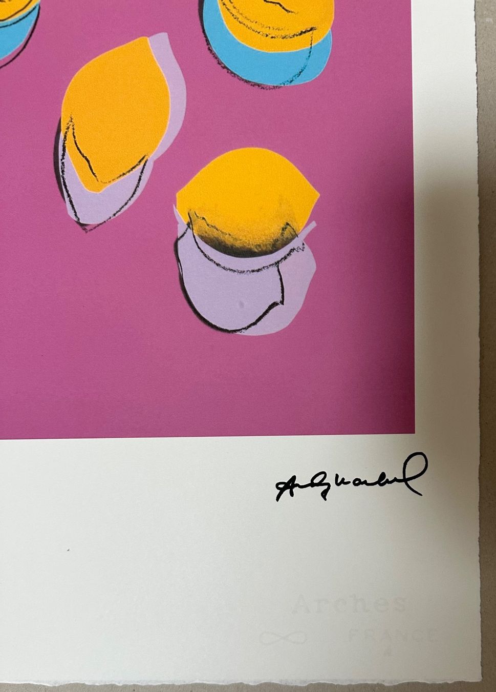 Gemälde: Andy Warhol: Lemons, POP Art 76/100 – Neu (gemäss Beschreibung) aus Meilen von Smgdesign 2