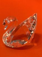Swarovski Schwan SCS
