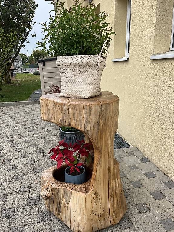 Altro in Decorazioni & Accessori: Tronc de décoration bois d orme. – Usato da Chevroux venduto da ateca2017 1