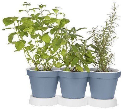 Vasi per fiori: 3er Kräutertöpfe ... – Nuovo (secondo la descrizione) da Chur venduto da Papageibarsch77 4