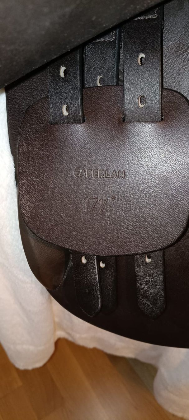 Selle & Accessori: Brauner Springsattel – Nuovo (secondo la descrizione) da Buchs ZH venduto da Hereiam0 2