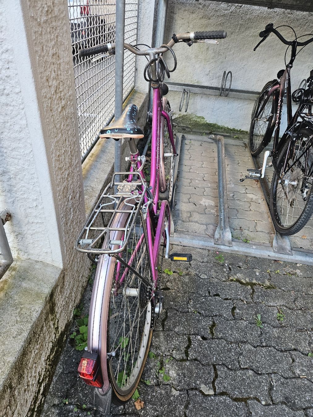 Alpina Biciclette: Velo Alpina San Diego - Abholung 18/19.06 – Usato da Biel/Bienne venduto da alr_swz5 1
