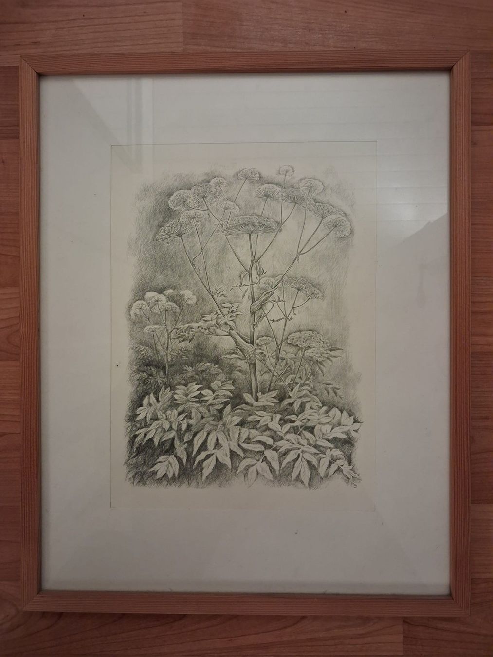 Posters & Illustrations: Peter Bergmann, Kerbel – D'occasion à Burgdorf par stoubi